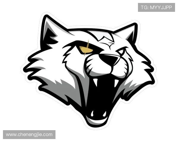 CSGO速度排行榜最新出炉LNG战队荣登第七名引发关注